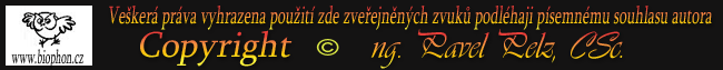 Veškerá práva vyhrazena, jakékoliv použití zde zveřejněných zvuků podléhá písemnému souhlasu autora! Copyright &copy; Pavel Pelz