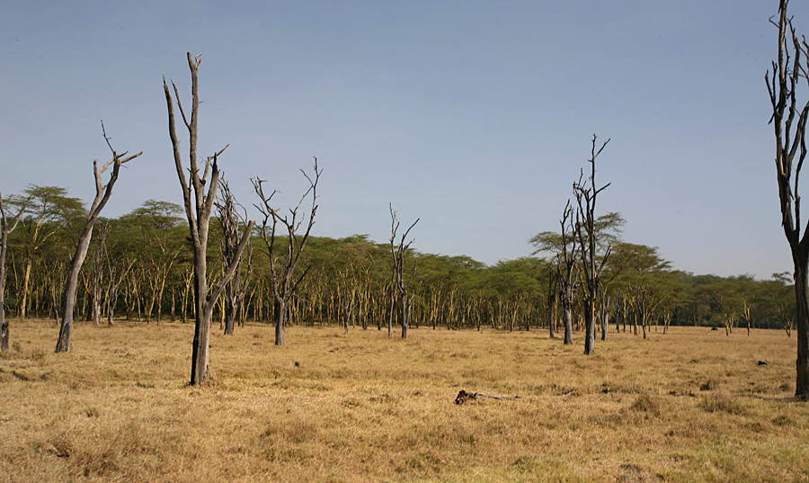Lake Nakuru National Park