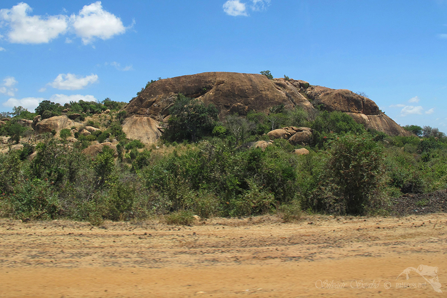 N&aacute;rodn&iacute; park Tsavo v&yacute;chod -Tsavo East 